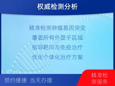 镇远-肿瘤全外显子测序-检测流程