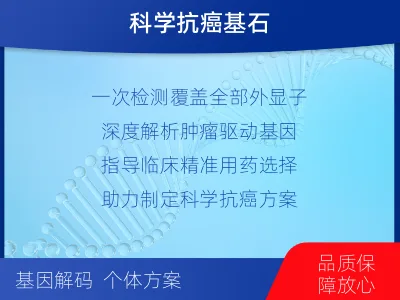 宝鸡-肿瘤全外显子测序-检测介绍