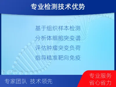 淮北-肿瘤全外显子测序-报告解读