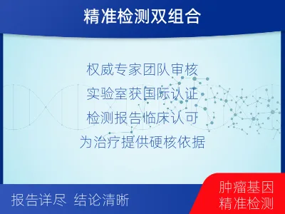 登封-肿瘤全外显子测序-报告解读