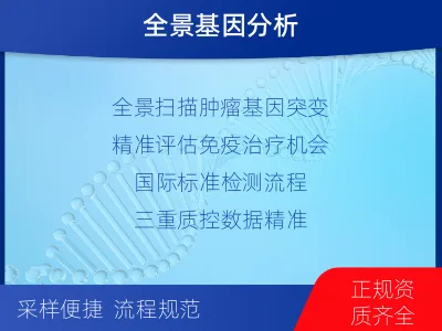 钦北-肿瘤全外显子测序-报告解读