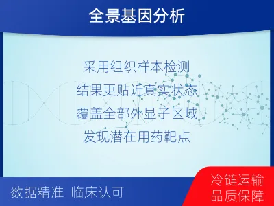 邛崃-肿瘤全外显子测序-报告解读