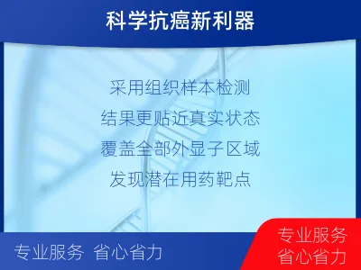 盐边-肿瘤全外显子测序-报告解读