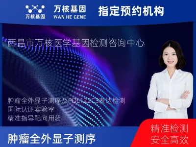 凉山彝族自治州西昌市肿瘤全外显子测序及PDL122C3表达检测套餐（组织）