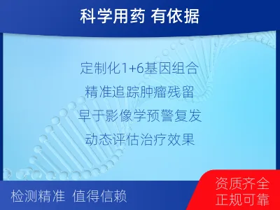 梁园-1实体瘤定制化MRD基因检测-报告解读