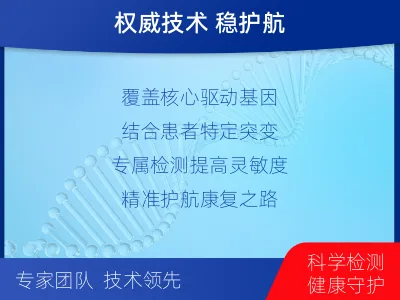 上思-1实体瘤定制化MRD基因检测-报告解读