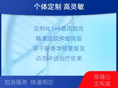 岐山-1实体瘤定制化MRD基因检测-检测流程