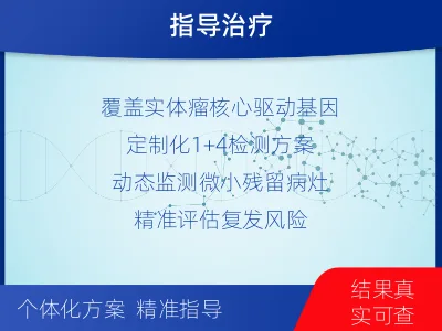 乡宁-1实体瘤定制化MRD基因检测-报告解读