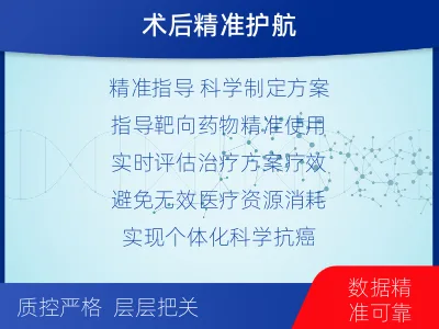 厦门-1实体瘤定制化MRD基因检测-报告解读