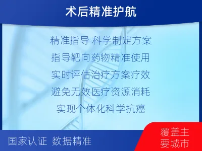 文登-1实体瘤定制化MRD基因检测-报告解读