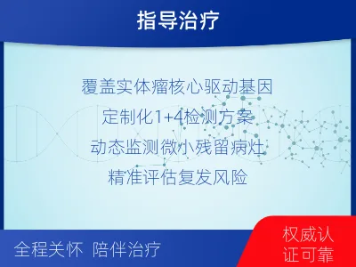 会东-1实体瘤定制化MRD基因检测-检测介绍