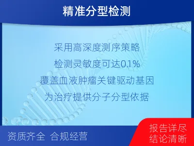 滨州-血液肿瘤综合检测-检测流程