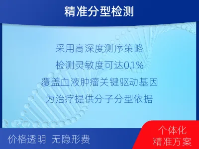 成华-血液肿瘤综合检测-检测流程