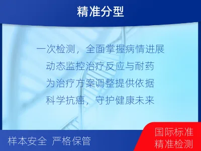 山南-血液肿瘤综合检测-检测流程