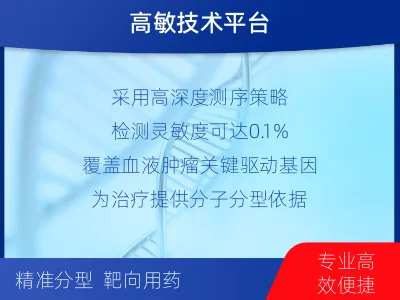 白河-血液肿瘤综合检测-检测流程