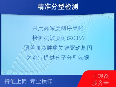 环-血液肿瘤综合检测-检测流程