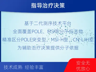 金山-子宫内膜癌分子分型检测-报告解读