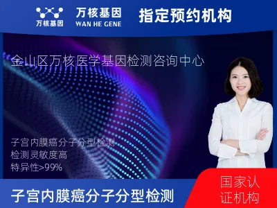 上海市金山区子宫内膜癌分子分型检测