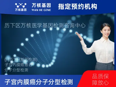 济南市历下区子宫内膜癌分子分型检测