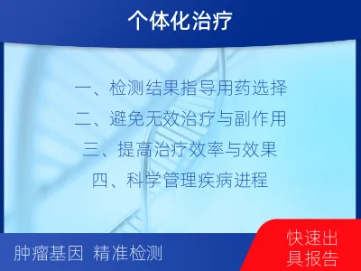 霍山-子宫内膜癌靶向基因检测-报告解读