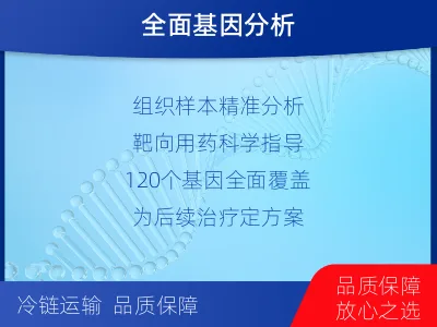 眉-子宫内膜癌靶向基因检测-检测流程