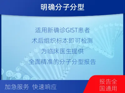 防城港-胃肠道间质瘤靶向基因检测-报告解读