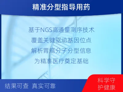 德州-胃癌分子分型基因检测-报告解读