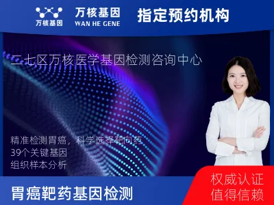 郑州市二七区胃癌靶向用药39基因检测（组织）