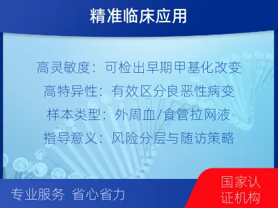 丹凤-食管癌甲基化-报告解读