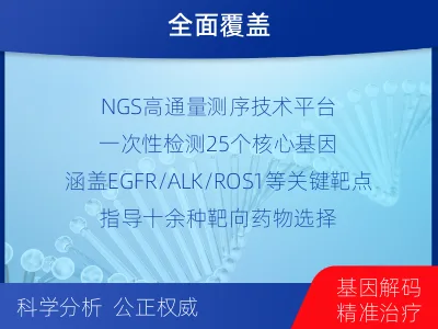 渭滨-肺癌靶药基因检测-检测流程