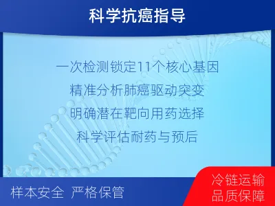 曹妃甸-肺癌组织基因检测-报告解读