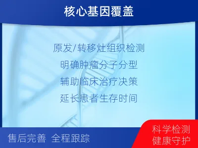 长治-肺癌组织基因检测-检测流程