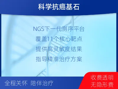 桓台-肺癌组织基因检测-检测流程