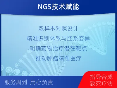 乡宁-双样本-DNA损伤修复组织基-报告解读