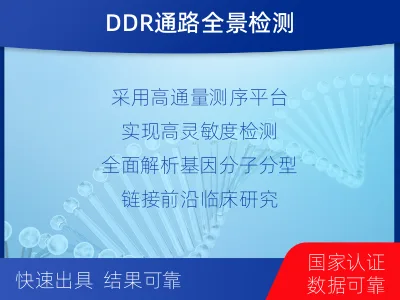 乡宁-双样本-DNA损伤修复组织基-适用人群