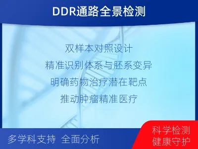 万载-双样本-DNA损伤修复组织基-报告解读