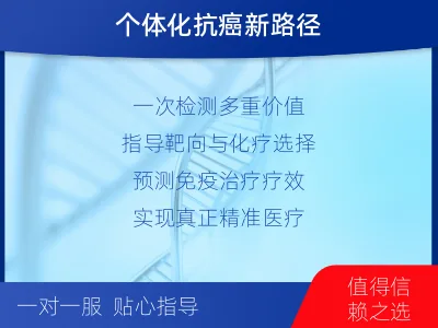 开平-单样本-DNA损伤修复组织体-检测介绍