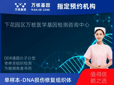 张家口市下花园区单样本-DNA损伤修复组织体系45基因分子分型研究