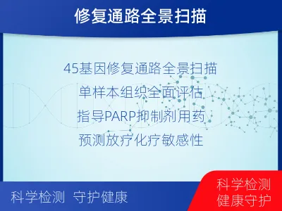 屯留-单样本-DNA损伤修复组织体-检测介绍