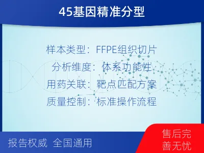 龙文-单样本-DNA损伤修复组织体-报告解读