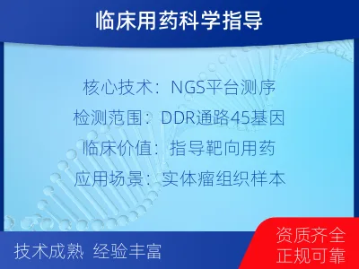 樟树-单样本-DNA损伤修复组织体-报告解读