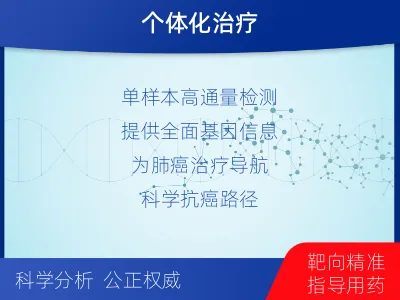 清徐-单样本-肺癌组织基因检测-检测流程