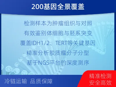 尖草坪-双样本-脑胶质瘤组织基因检测-报告解读