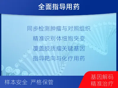 铜鼓-双样本-脑胶质瘤组织基因检测-检测流程