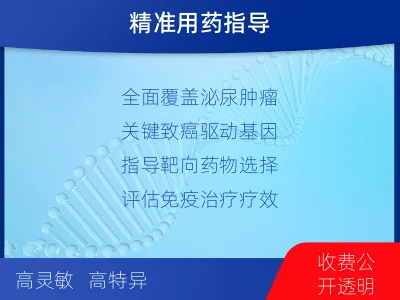 永登-双样本-泌尿系统肿瘤组织基因-检测介绍