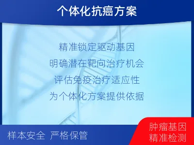 淮阴-肺癌靶药基因综合检测-检测流程