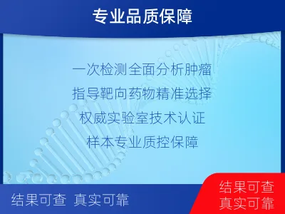 丰润-单样本-消化道肿瘤组织基因检-报告解读