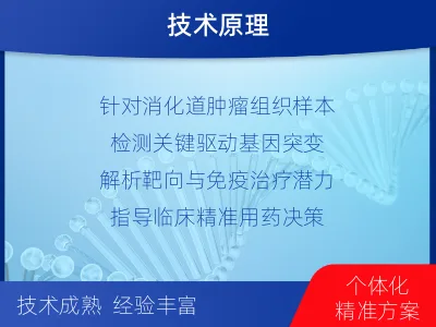 襄垣-单样本-消化道肿瘤组织基因检-检测流程