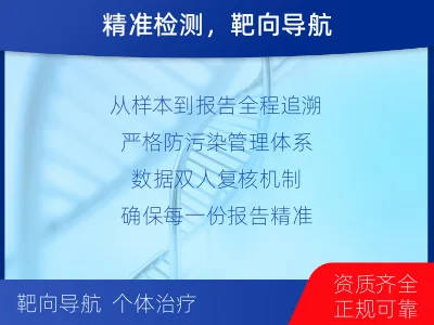 临平-单样本-实体瘤组织基因检测-检测流程