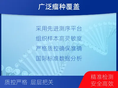 玉屏-实体瘤组织基因检测-检测介绍